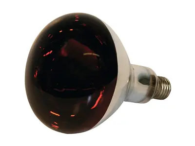 U-Heat lamp 250W red 1 pcs.