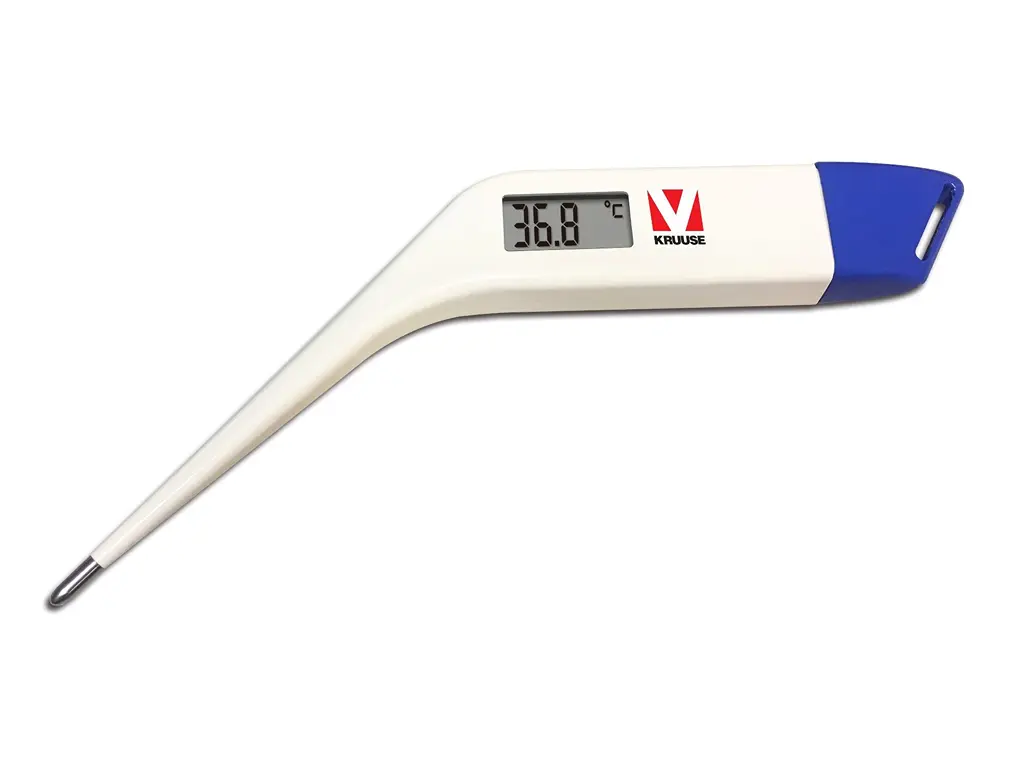 Thermometer digital